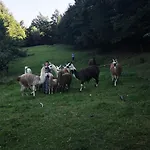 Lägenhet Eko Pony Ranch Ogrizek *