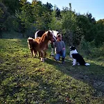 Eko Pony Ranch Ogrizek Podčetrtek