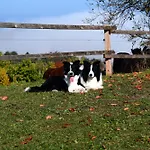Eko Pony Ranch Ogrizek Lägenhet *