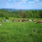 Eko Pony Ranch Ogrizek Lägenhet Podčetrtek