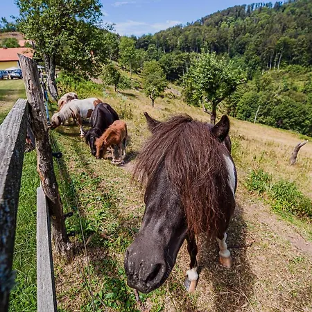 Eko Pony Ranch Ogrizek Apartamento