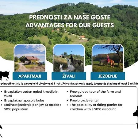 Eko Pony Ranch Ogrizek Podčetrtek