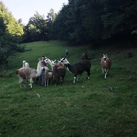 Daire Eko Pony Ranch Ogrizek *