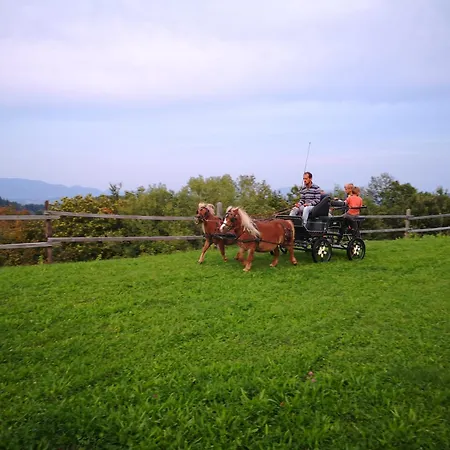 Lägenhet Eko Pony Ranch Ogrizek Podčetrtek