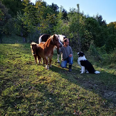 Eko Pony Ranch Ogrizek Podčetrtek