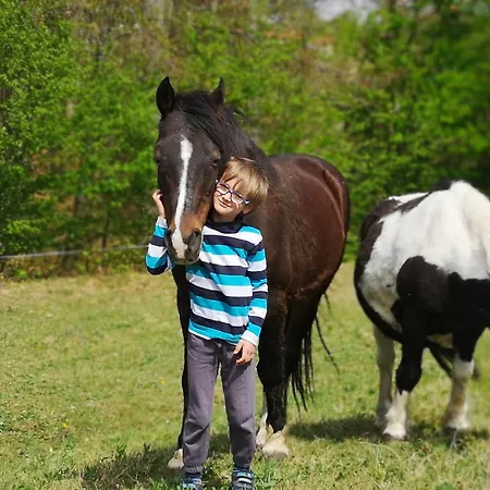 Eko Pony Ranch Ogrizek