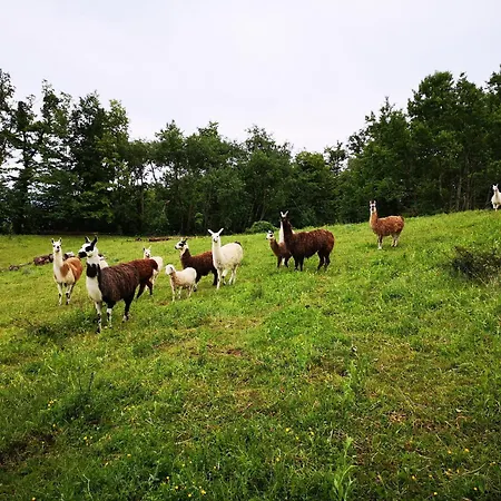 Lägenhet Eko Pony Ranch Ogrizek