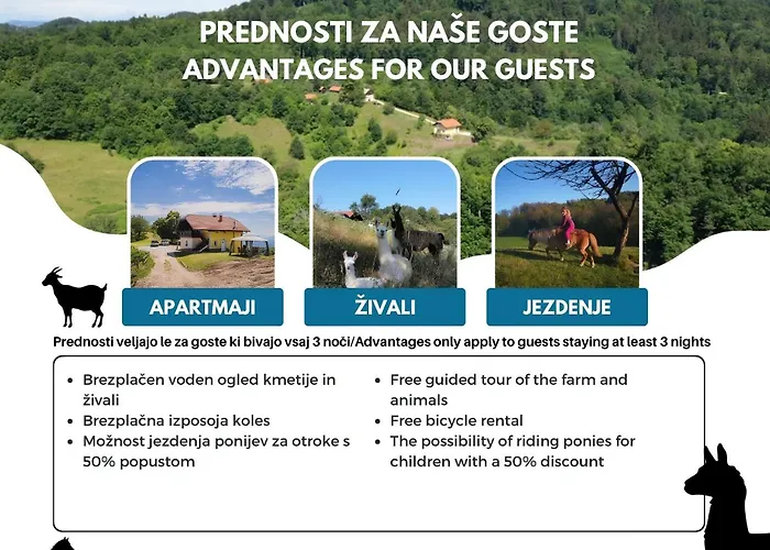 Eko Pony Ranch Ogrizek بوتْشيترتيك