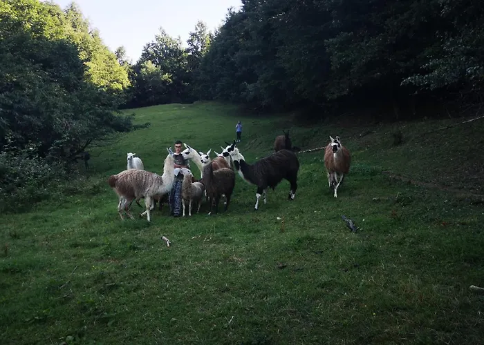 アパート Eko Pony Ranch Ogrizek *