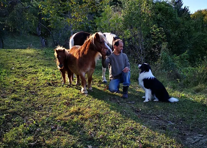 Eko Pony Ranch Ogrizek ポドチェトルテク