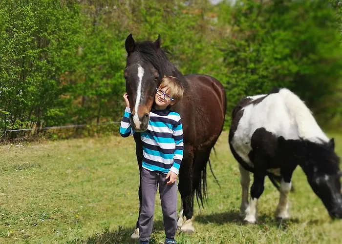 Eko Pony Ranch Ogrizek