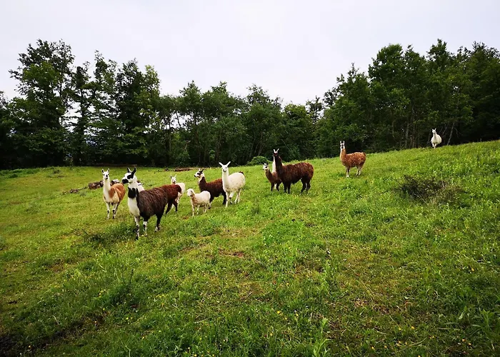 شقة Eko Pony Ranch Ogrizek