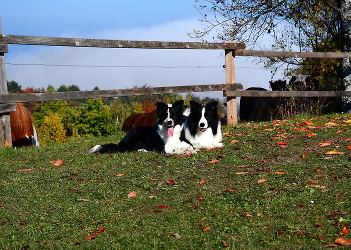 Eko Pony Ranch Ogrizek شقة *