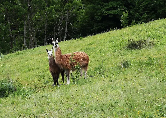 شقة Eko Pony Ranch Ogrizek *