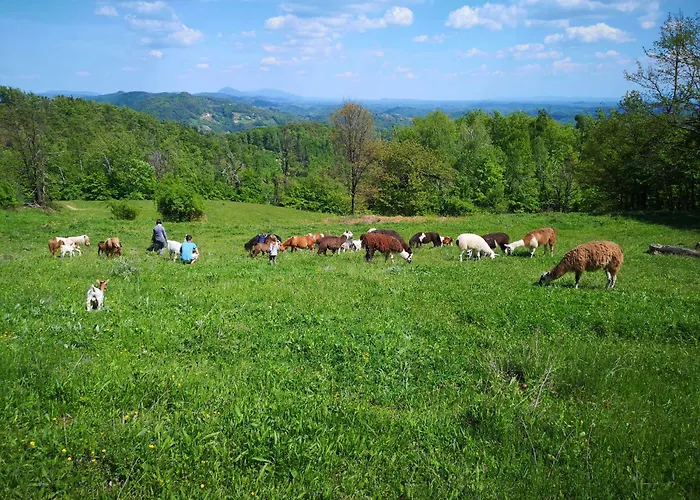 Eko Pony Ranch Ogrizek アパート ポドチェトルテク
